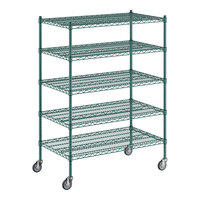 Regency 24" x 42" x 60" NSF Green Epoxy Mobile Wire Shelving Starter Kit with 5 Shelves