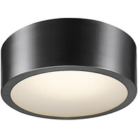 Globe Modern Black Iron Flush Mount LED Light with Frosted Glass Shade - 120V, 18W