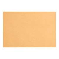 SatinWrap 2030-9910 20" x 30" 10 lb. Kraft Customizable Tissue Paper Sheets - 480/Pack