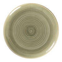 RAK Porcelain Rakstone Spot 9 1/2" Emerald Porcelain Flat Coupe Plate - 12/Case