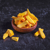 Rainforest Supply Freeze-Dried Mango Slices 0.5 lb.