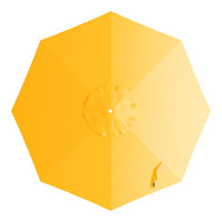 Sunflower Yellow