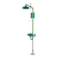 Haws Axion MSR 8320-8325 Emergency Shower with Eye / Face Wash Station