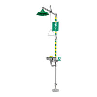 Haws Axion MSR 8300-8309 Emergency Shower with Eye / Face Wash Station