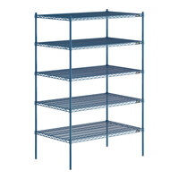 Lavex Pro 30" x 48" NSF Blue Epoxy Heavy-Duty 5-Shelf Kit with 74" Posts and Antimicrobial Coating