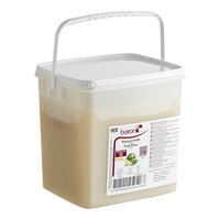 Les Vergers Boiron Lime 100% Fruit Puree 22 lb.