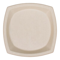 Dart ProPlanet 10" Square Fiber Plate - 500/Case