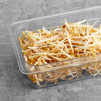 Fresh Bean Sprouts 8 oz. - 6/Case