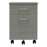 Linea Italia 17" x 20" x 23" Steel Mobile Pedestal Filing Cabinet with 2 Ash Laminate Drawers