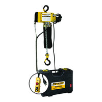 OZ Lifting Products 1/4 Ton Electric Chain Hoist with 30' Lift OZ500EC-30 - 12.5 FPM, 115V