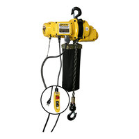 OZ Lifting Products 1 Ton Electric Chain Hoist with 15' Lift OZ2000EC-15 - 13 FPM, 115V
