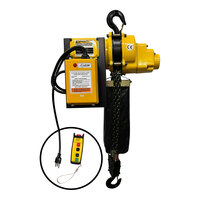 OZ Lifting Products 2 Ton Electric Chain Hoist with 15' Lift and Wireless Control OZ4000ECW-15 - 6.5 FPM, 115V