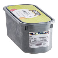 Bravo Gelato Spumoni Gelato Tub 5 Liter