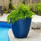 Commercial Planters