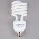 Compact Fluorescent Bulbs