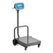 Floor Scales with Tower
