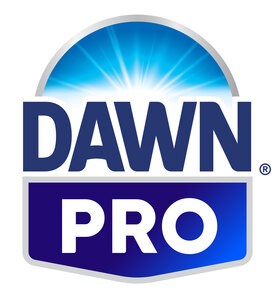 Dawn Professional