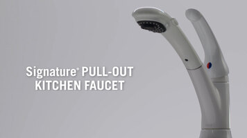 Signature Pull-Out Kitchen Faucet
