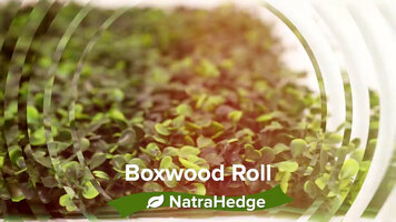 Artificial Boxwood Roll - Premium Hedge Mats Easy To Create DIY Professional Results