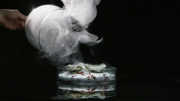 Breville Polyscience Smoking Gun Pro Introduction