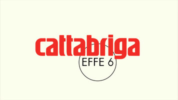 Cattabriga Effe 6 Vertical Batch Freezer