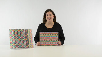 C-Line Products Bold Basics Zip N Go Reusable Poly Envelope