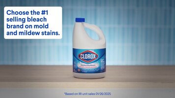 Clorox Disinfecting Bleach Clorox Disinfecting Bleach