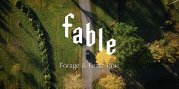 Fable: Forage and Feast Tour Overview