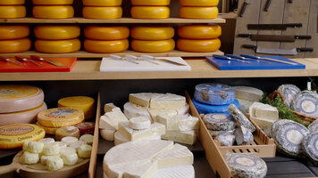 BOSKA Professional Cheese-Cutting Knives Overview