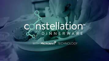 Libbey Syracuse Constellation Dinnerware