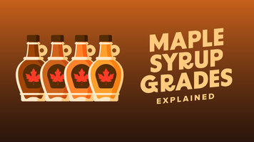 Maple Syrup Grades