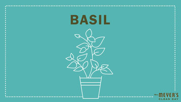 Mrs. Meyer's Garden-Inspired Scents: Basil Mrs. Meyer's Garden-Inspired Scents: Basil
