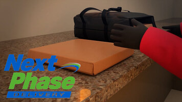 Next Phase Delivery Pizza Delivery Bag Overview Next Phase Delivery Pizza Delivery Bag Overview