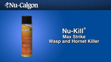 Nu-Calgon Nu-Kill Wasp and Hornet Killer