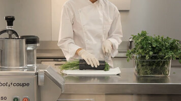 Robot Coupe CL50 Gourmet Food Processor Parsley Kit Robot Coupe CL50 Gourmet Food Processor Parsley Kit