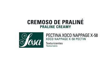 Praline Creamy · Xoco Nappage X-58 Pectin · Texturizers