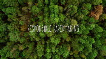 Procter & Gamble - Achieving Environmental Sustainability in Paper Making