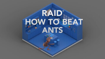 Raid®: How to Beat Ants