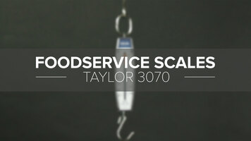 Taylor 3070 Industrial Hanging Spring Scale Taylor 3070 Industrial Hanging Spring Scale