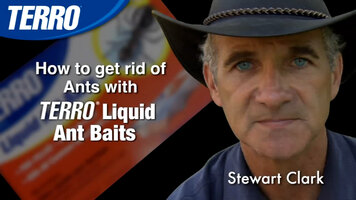 TERRO Liquid Ant Baits - It Works!™
