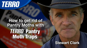 How to Get Rid of Moths in Your Pantry with TERRO Pantry Moth Trap