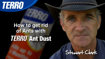 TERRO Ant Dust - control ants with waterproof ant killer TERRO Ant Dust - control ants with waterproof ant killer