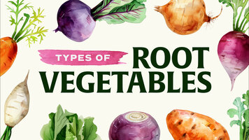 Types of Root Vegetables Types of Root Vegetables