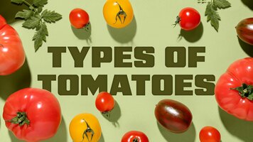Types of Tomatoes Types of Tomatoes
