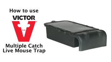 Victor® Multiple Catch Mouse Trap Instructional Video
