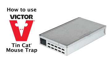 Victor TIN CAT® Mouse Trap Instructional Video Victor TIN CAT® Mouse Trap Instructional Video