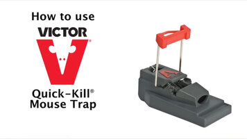 How to Set & Place a Victor Quick-Kill Mouse Trap