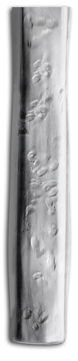 Acopa
Architect 18/8