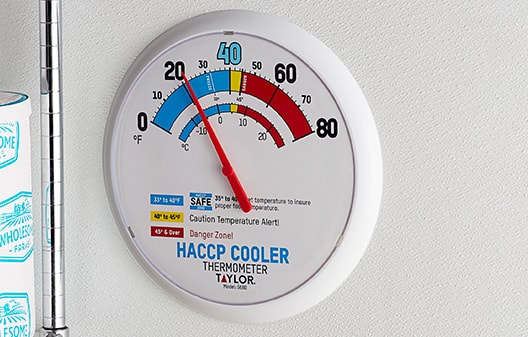 Wall Thermometers