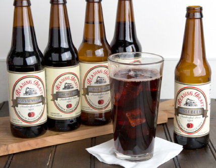 Reading Soda Works Dutch Sampler 12 fl. oz. - 12/Case